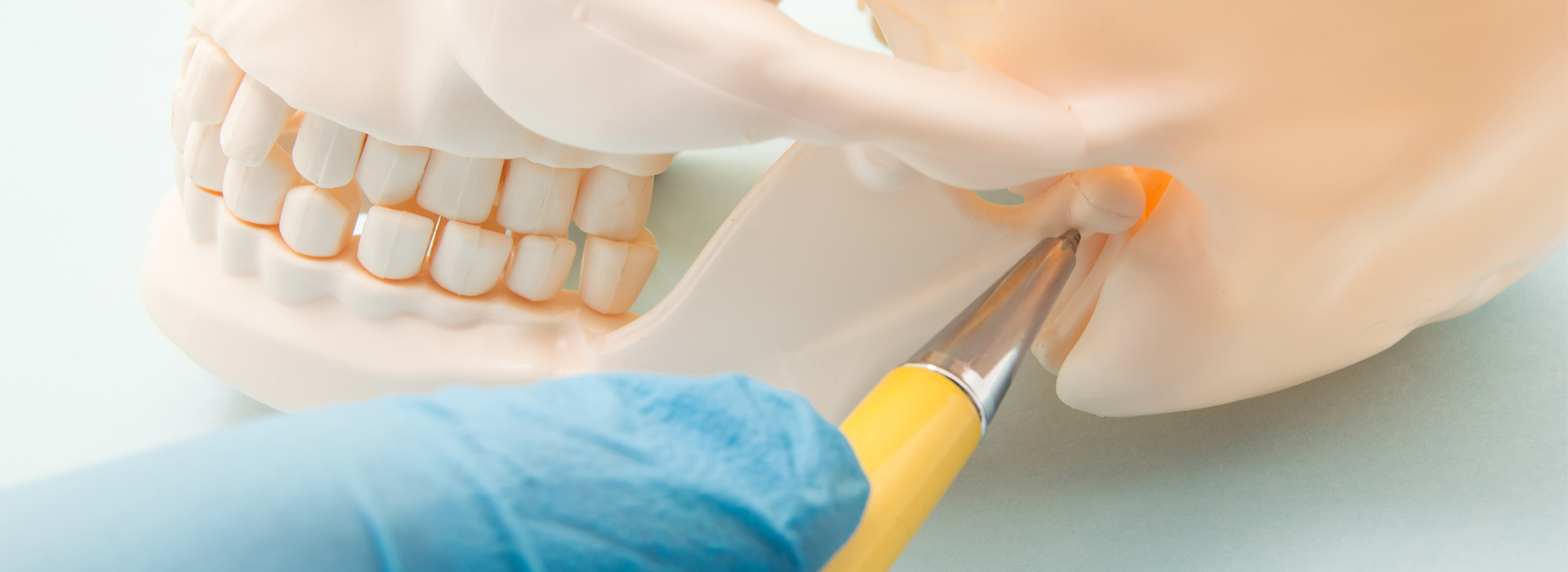 Schneider Family   Cosmetic Dentistry | Periodontal Treatment, CBCT and Full Mouth Reconstruction